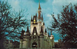 Florida Orlando Walt Disney World Cinderella Castle Fantasyland - Orlando