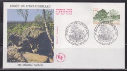 = Série Touristique Enveloppe 1er Jour Fontainebleau 20 5 89 N°2586 La Forêt Et Ses Célèbres Rochers - 1980-1989