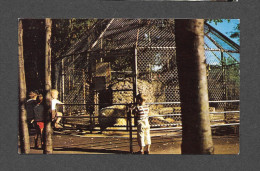 GRANBY - QUÉBEC - JARDIN ZOOLOGIQUE - CAGE DES OURS BLANCS - WHITE BEARS CAGE - PUB. BENJAMIN NEWS - Granby