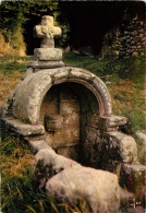 CPSM Trégunc-Fontaine Saint Philibert     L1895 - Trégunc