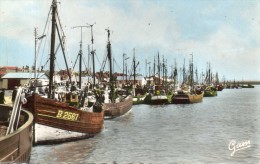 Delcampe - ETAPLES SUR MER LE PORT - Etaples