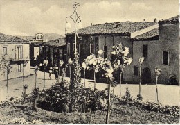 ABRUZZO-CHIETI-CELENZA SUL TRIGNO VEDUTA GIARDINI PUBBLICI PARTICOLARE ANNI 50 - Sonstige & Ohne Zuordnung