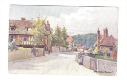 Bramber Sussex OLD ART TYPE COLOUR POSTCARD SUSSEX  By W E CROXFORD - Sonstige & Ohne Zuordnung