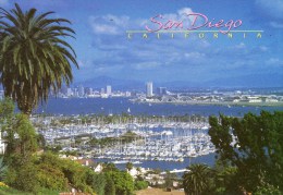 - CALIFORNIA. -  SAN DIEGO - Carte Maxi. - Scan Verso - - San Diego