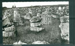 SANXAY , Ruines Gallo-Romaines , Vestiges Des Colonnes Du Temple  Rak24 - Sonstige & Ohne Zuordnung