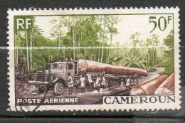 CAMEROUNE  PAérienne Exploitation Forestiére 1955  N° 46 - Poste Aérienne
