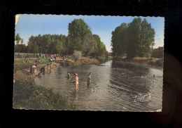 DORDIVES Loiret 45 : La Baignade Sur Les Bords Du Loing  1958 - Dordives