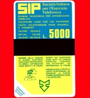 Nuova - Scheda Telefonica - Italia - SIP - SIDA NUOVA - Primo Gruppo Sida  - C&C 1012 A - Golden P14 - Öff. Vorläufer