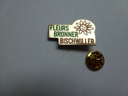 Ville De Bischwiller , Fleurs Bronner , Bas Rhin , Alsace - Postes