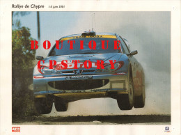 RALLYE AUTOMOBILE De CHYPRE - VOITURE PEUGEOT 206 - AUTO De COURSE - PUBLICITE TOTAL & MICHELIN < Photo 30 Cm X 40 Cm - Rally Racing