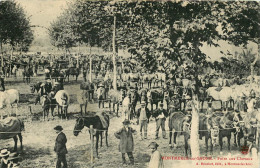 Montmerle Sur Saone : Foire Aux Chevaux - Non Classés