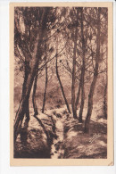 CASTETS (40-Landes),  Coin De Forêt, Dans Les Landes De Gascogne,  Ed. Marcel Delboy,1930 Environ - Castets