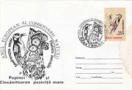 18634- BIRDS, WOODPECKER, MUSHROOMS, SPECIAL COVER, 1995, ROMANIA - Piciformes (pájaros Carpinteros)