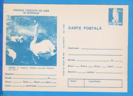 BIRDS, BIRD, OISEAUX, SWANS CYGNUS OLOR, FALCO TINNUNCULUS  POSTAL STATIONERY ROMANIA - Cygnes