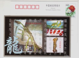 Egg Fossil,thighbone Fossil,CN 00 Zhucheng Dinosaur Museum Giant Hadrosaurus Dinosaur Fossil Advert Pre-stamped Card - Fossilien