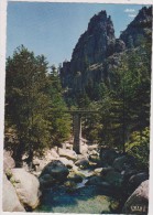 HAUTE CORSE,CORSICA,CORTI,CORTE ,ROCHER,PONT,TRAGONE - Corte