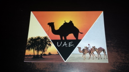 C-36144 UNITED ARAB EMIRATES IMPRESSION THE ARABIAN DESERT - Ver. Arab. Emirate