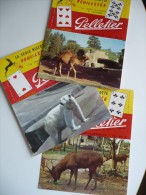 3 BUVARDS PELLETIER Biscotte à Tartiner Avec CP à Découper ANIMAUX ZOO Vincennes OURS CHAMEAU CERFS. Années 50. TBEtat. - Zwieback