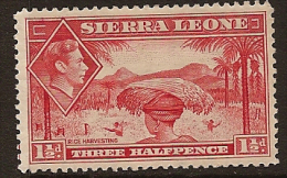 SIERRA LEONE 1938 1 1/2d KGVI SG 190 HM PL161 - Sierra Leona (...-1960)