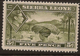 SIERRA LEONE 1938 5d KGVI SG 194 HM PL172 - Sierra Leone (...-1960)