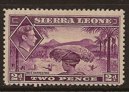 SIERRA LEONE 1938 2d KGVI SG 191 HM PL162 - Sierra Leona (...-1960)