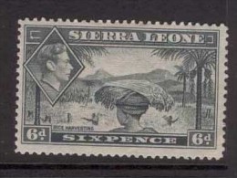 SIERRA LEONE 1938 6d Grey SG 195 HM AR84 - Sierra Leona (...-1960)