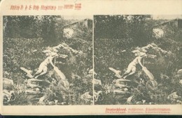Litho Schliersee Künstlerbrunnen Doppelbild Fehldruck Um 1900 Verlag Voß - Schliersee