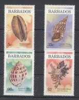 Barbados - 1997 Marine Snails MNH__(TH-5527) - Barbades (1966-...)