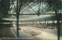 Postcard USA St Paul Live Stock Building Horses Interior Color ~1920 #19 - St Paul