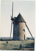 PAYSAGE VENDEEN: Vieux Moulin. Carte Postée à CURZON (1965) - Non Classés