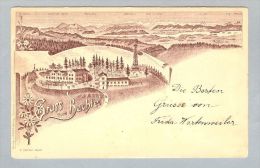 AK ZH Hinwil Bachtel 1902-06-26 Litho E. Oetiker - Hinwil