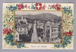 AK ZH Hinwil 1904-08-15 Präge Litho Mit Foto Fischer & Scholl - Hinwil