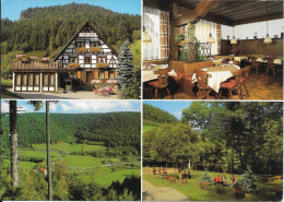 ALPIRSBACH - Gasthof-Café-Pension "Untere Mühle" - Alpirsbach