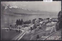 Oberhofen Am Thunersee - Rieder Stockhornkette 1943 (13´477) - Oberhofen Am Thunersee