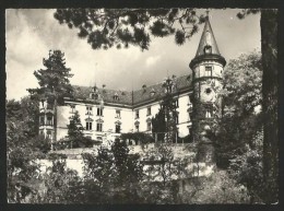 SCHLOSS STEINEGG TG Hüttwilen 1968 - Hüttwilen