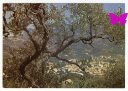 LE BUIS LES BARONNIES - Vue Générale - Buis-les-Baronnies