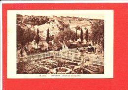 JERUSALEM Cpa Jardin De Gethsemani  Edit Braun - Palestine