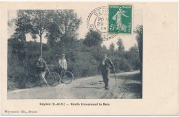 BEYNES - Route Traversant Le Bois - Beynes