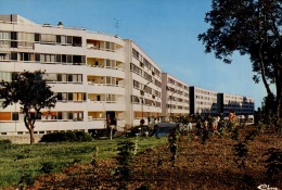 Nogent Sur Oise : Boulevard Branly (n°60/0278 éd Combier) - Nogent Sur Oise