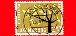 LUSSEMBURGO - Usato - 1962 - Europa - C.E.P.T. -  Albero Con 19 Foglie - 2.50 - Used Stamps