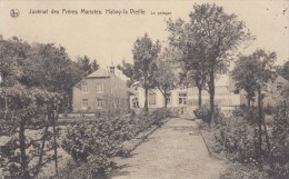 Habay-la-Vieille - Juvénat Des Frères Maristes - Le Potager - Habay