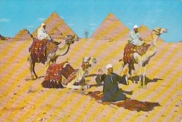 19140- GIZEH- THE PYRAMIDS, MAN PRAYING, CAMELS - Guiza