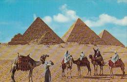 19141- GIZEH- THE PYRAMIDS, MEN, CAMELS - Gizeh
