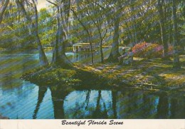 19146- SILVER SPRINGS- RIVER, SHIP - Silver Springs