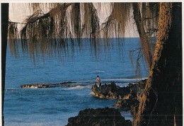 19150- OAHU ISLAND- FISHERMAN - Oahu