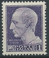 1945-46 LUOGOTENENZA EFFIGIE 1 LIRA VARIETà EVANESCENTE MNH ** - W167 - Ungebraucht