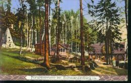 Litho Fürstenbrunn Bei Schwarzenberg Sachsen Wald Gasthaus Um 1900 Wilhelm Vogel - Schwarzenberg (Erzgeb.)