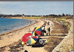 ILE D'ARZ - Plage De La Falaise - Carte Couleur Grand Format écrite En 1975 - Ile D'Arz