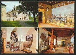 BAD DEUTSCH-ALTENBURG Niederösterreich Bruck Schloss Mit Afrika-Museum 1975 - Bad Deutsch-Altenburg