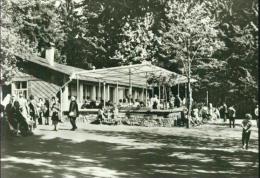 Waldcafe Kaffee Cafe Lenkgrund Frauenwald Th. Rennsteig Bei Suhl Sw 1973 - Suhl